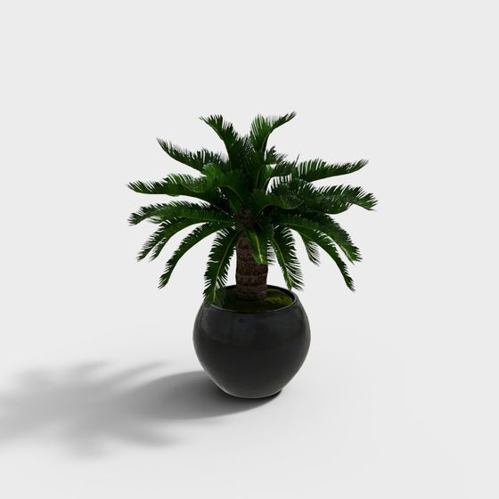 Vasi per piante moderni