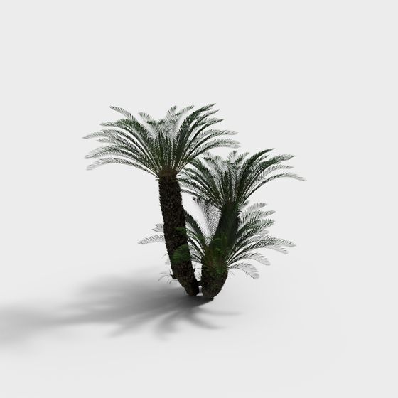 Lively Palm Tree 3D Model for Modern Creations