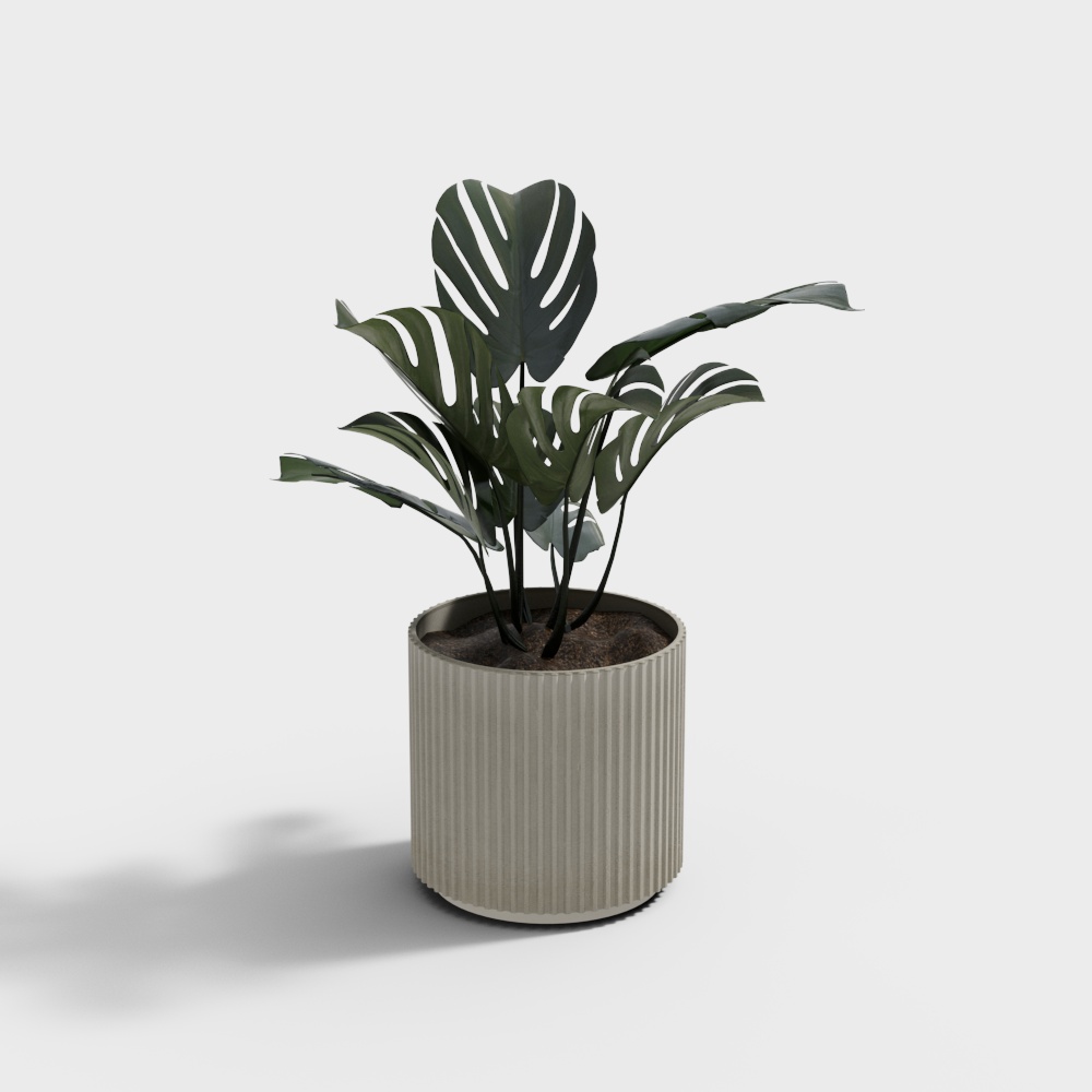 Modern Plant Pots
