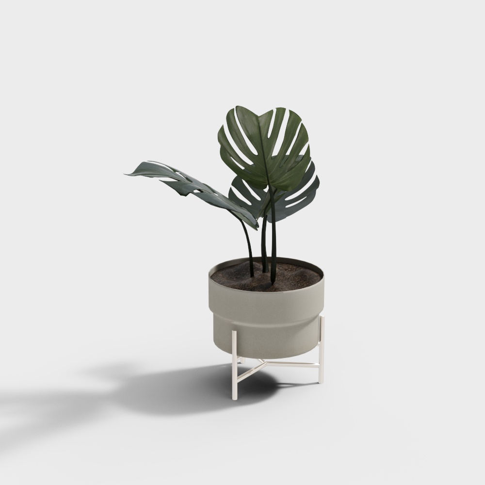 กระถางต้นไม้ทันสมัย