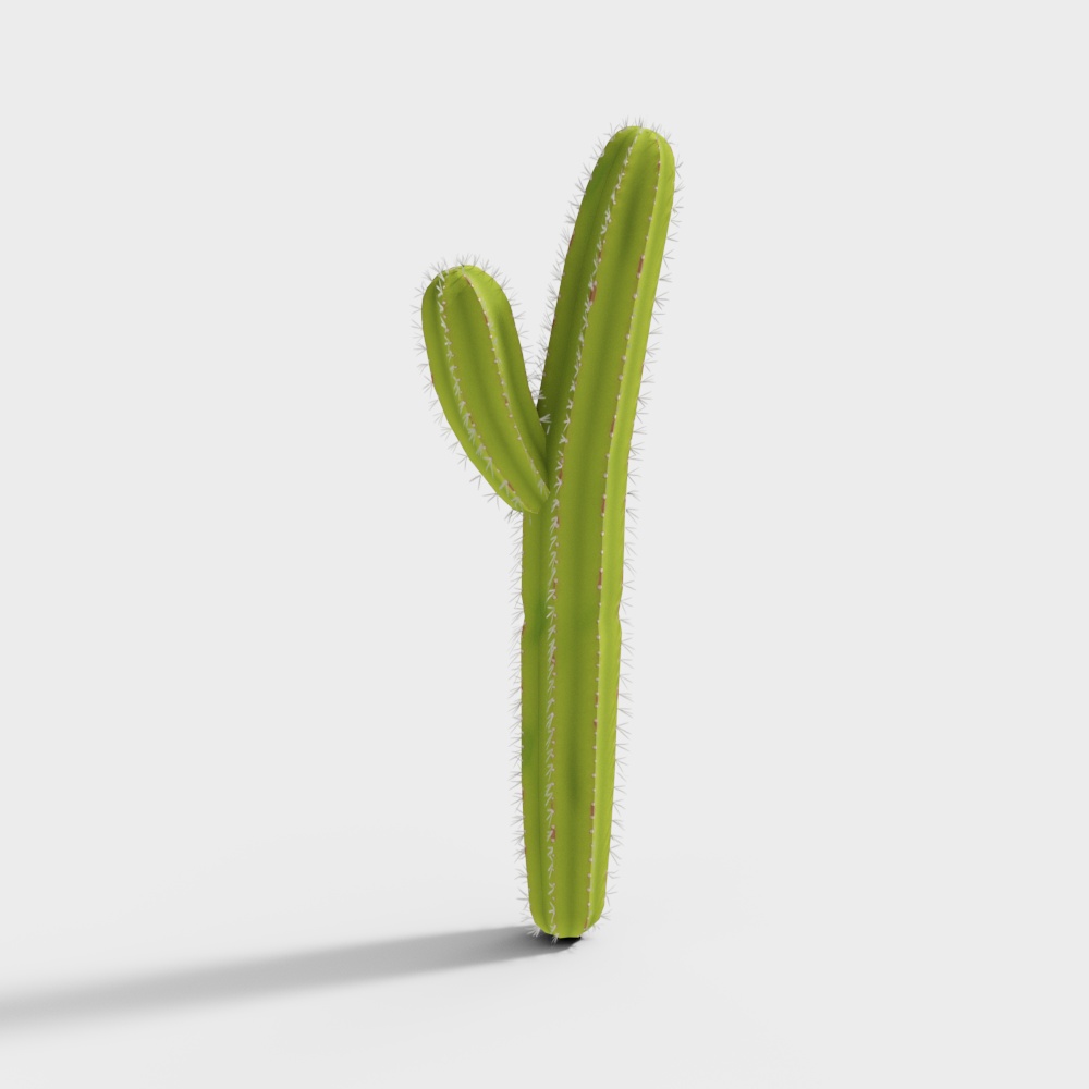 Vibrant Low-Poly Cactus 3D Model