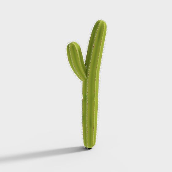 Vibrant Low-Poly Cactus 3D Model