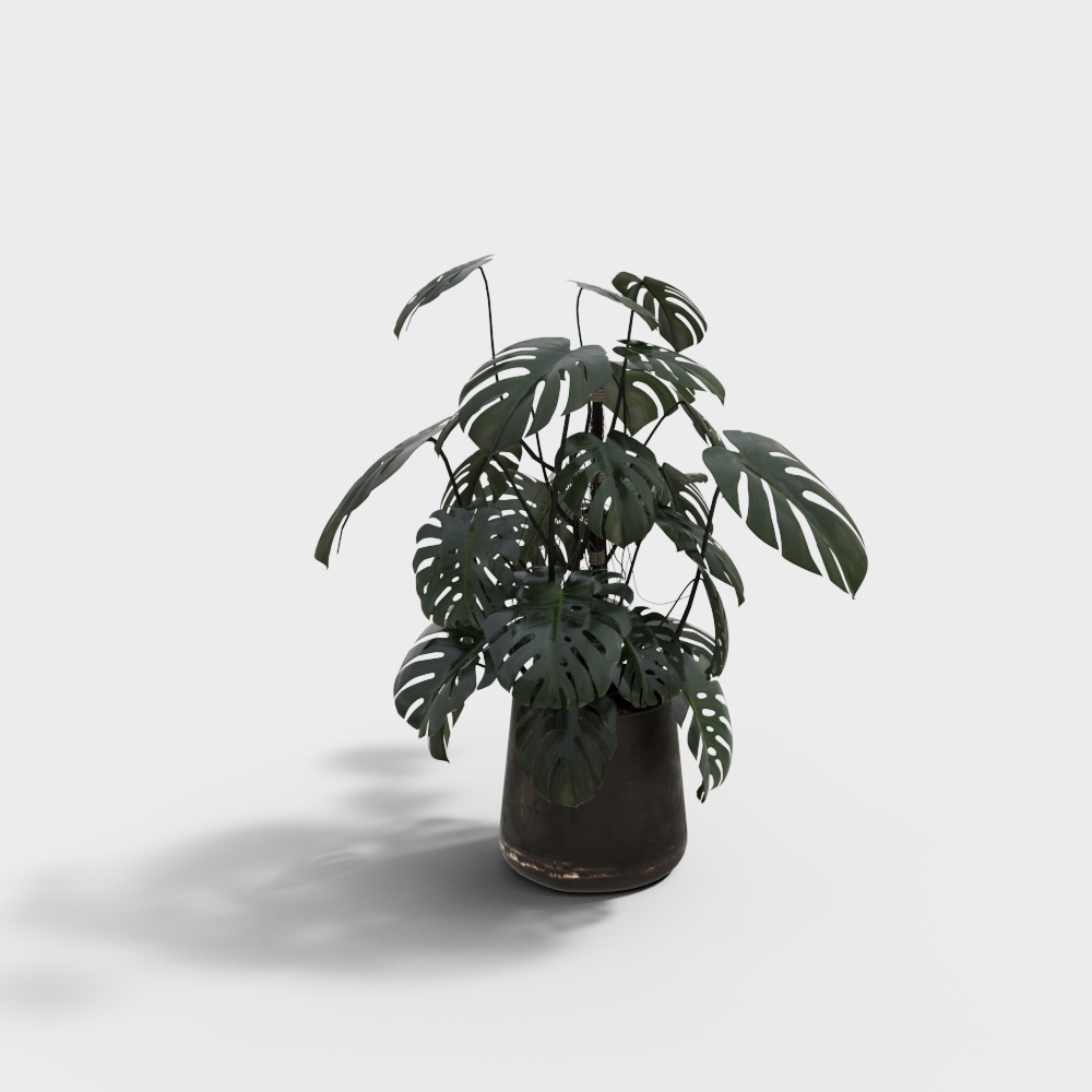 กระถางต้นไม้มุ่งสมัย