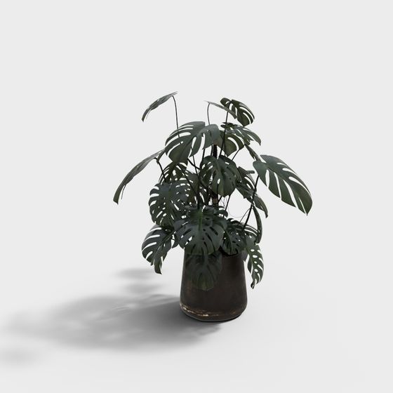 กระถางต้นไม้มุ่งสมัย