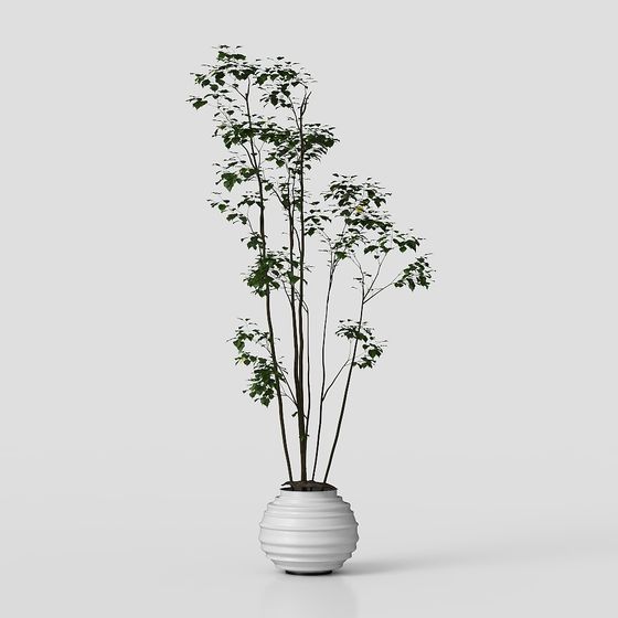 Urban Oasis Potted Plant 3D model for Creative Spaces