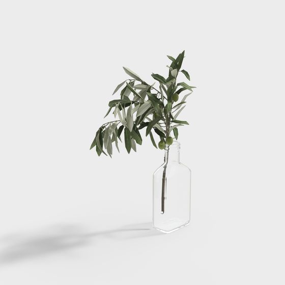 Olive Branch in Glass Bottle 3D model for Creative Projects