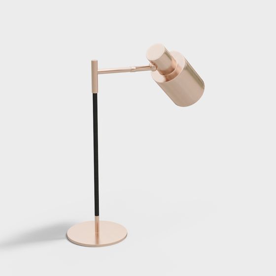 Modern Minimalist 3D Lamp Model