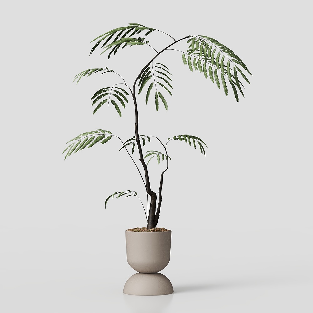 Verde in Stile Wabi-Sabi