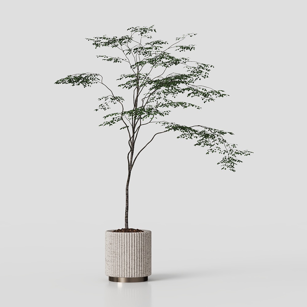 Végétation de style Wabi-Sabi