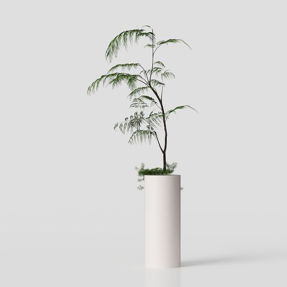 Lively 3D Indoor Plant Model