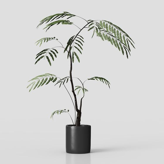 Tropical Plant Pot 3D Model