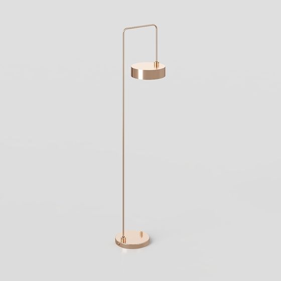 Modern Minimalist Golden Floor Lamp 3D model