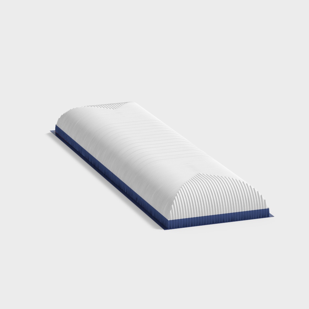 Dôme Aérien de Stade Sportif Moderne