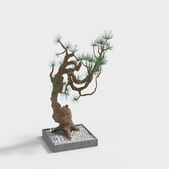 Low Polygon Ancient Pine Tree 3D model