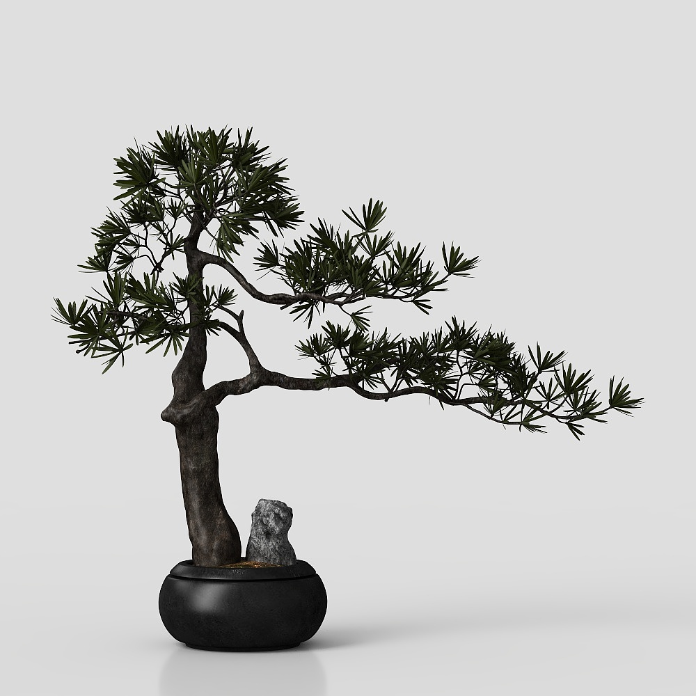 Bonsai a forma di pianta