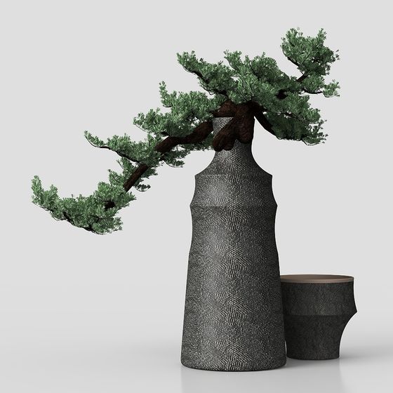 Pianta Moderna in Vaso