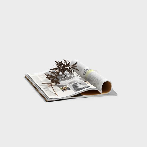 Minimalist Magazine and Dried Plant 3D model
