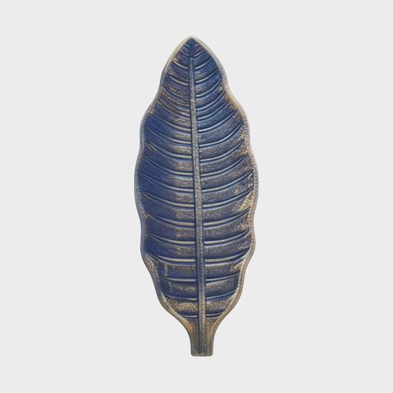 Tropical Leaf 3D model