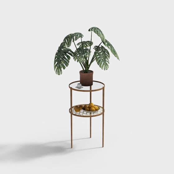 Lush Indoor Decorative Shelf 3D model
