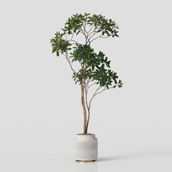 Vibrant Indoor Plant 3D Model Design