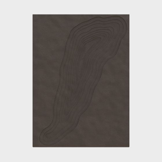 Streamlined Carpet 3D model for Serenity