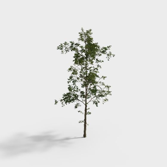 Vibrant Low-Poly 3D Tree Model for Creative Projects