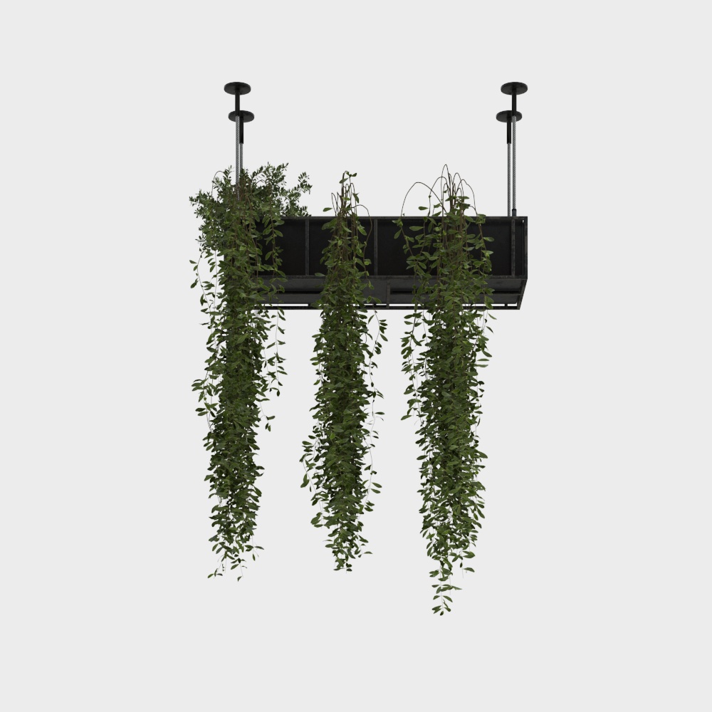 Green Plant Hanging Decor