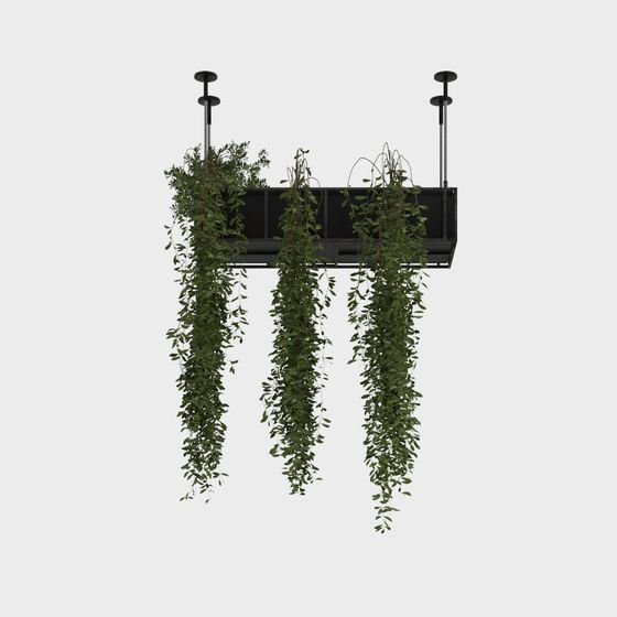 Hanging Plant Box 3D model: Perfect Fusion of Nature and Modern Design