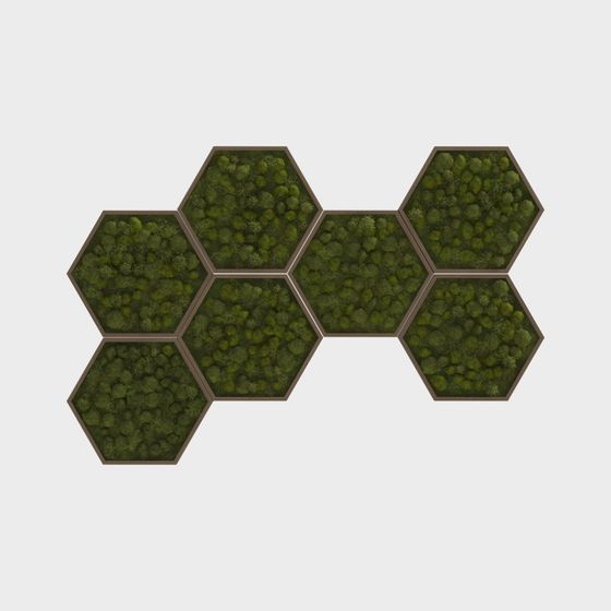 Hexagonal Forest Puzzle 3D Model