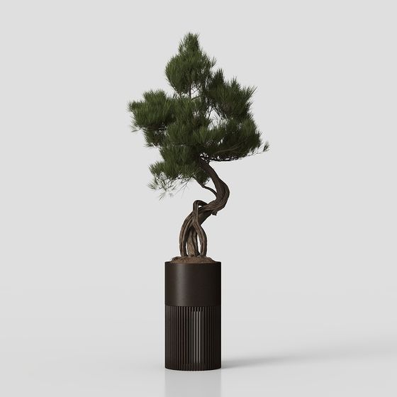 Low Poly Pine Tree 3D model