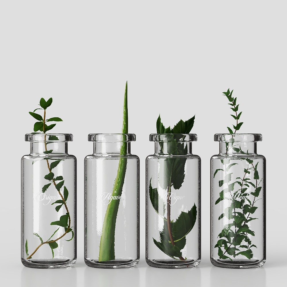 Aquatic Plant Glass Bottle Greenery
