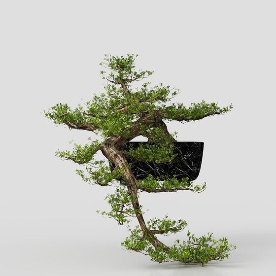 Bonsai Tree Low Poly 3D Model