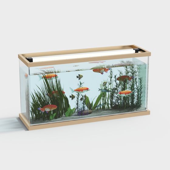 Vibrant Fish Tank 3D Model