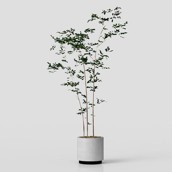 Urban Green Plant Pot 3D model