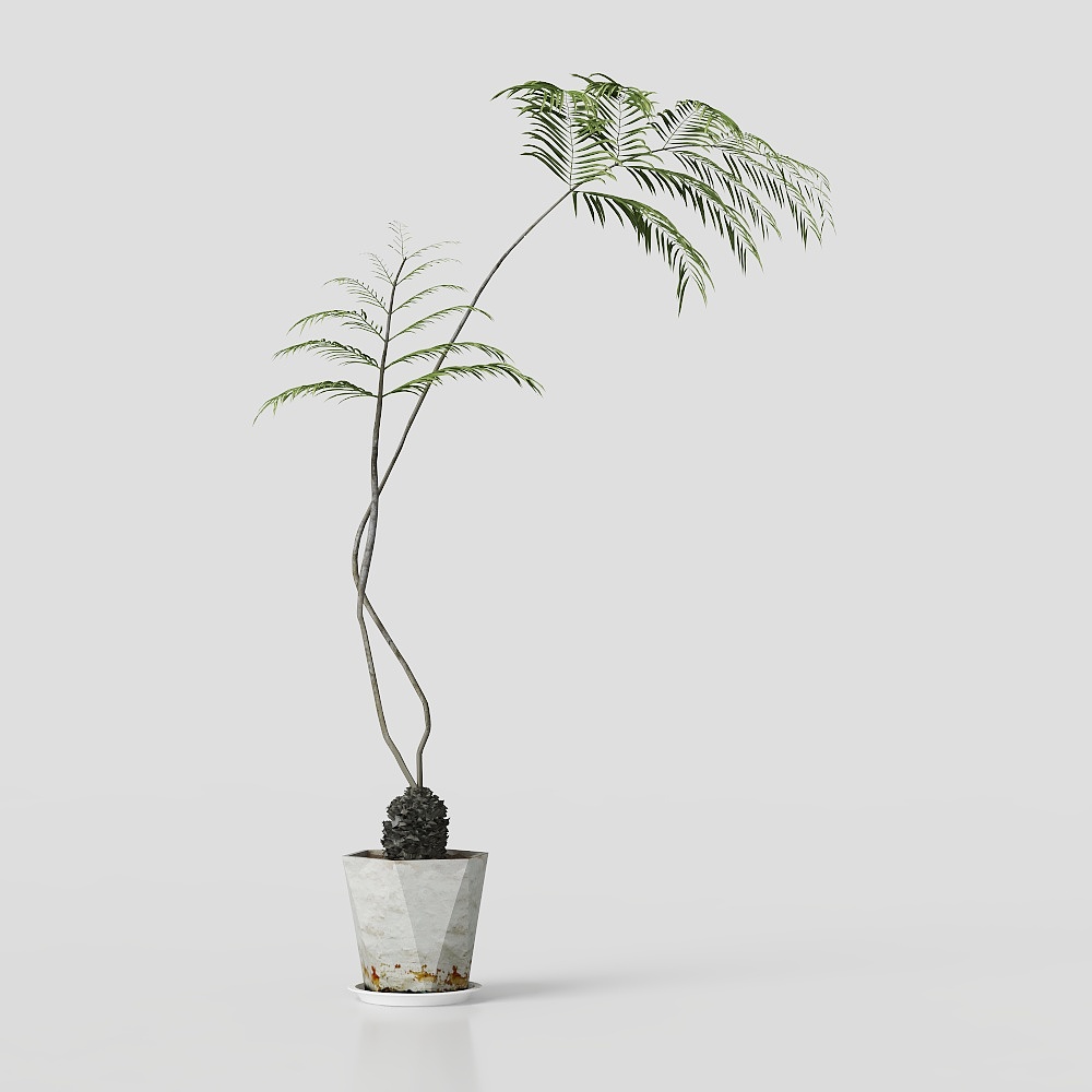 Tropical Potted Plant 3D model