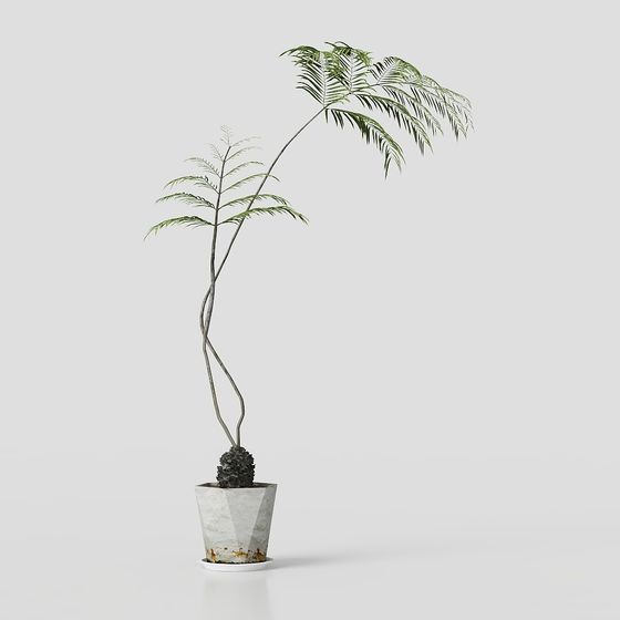 Tropical Potted Plant 3D model
