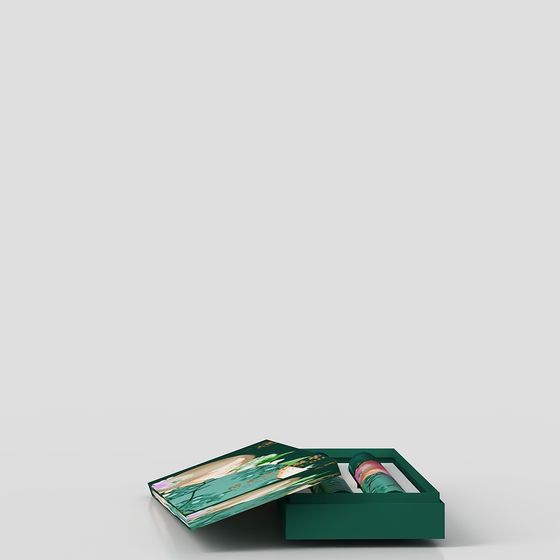 Art Portfolio Display Box 3D model