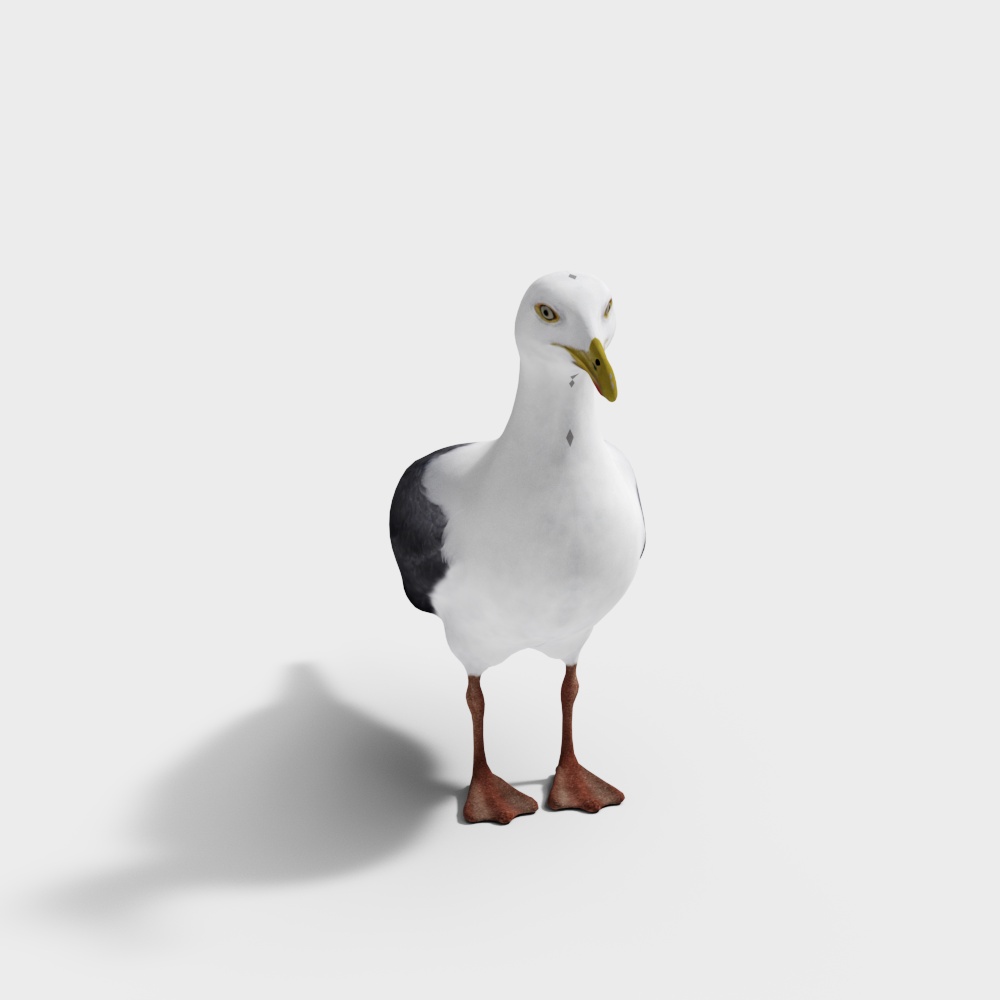 Realistic Seagull 3D Model for Creative Projects