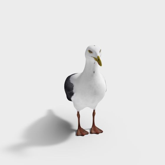 Realistic Seagull 3D Model for Creative Projects