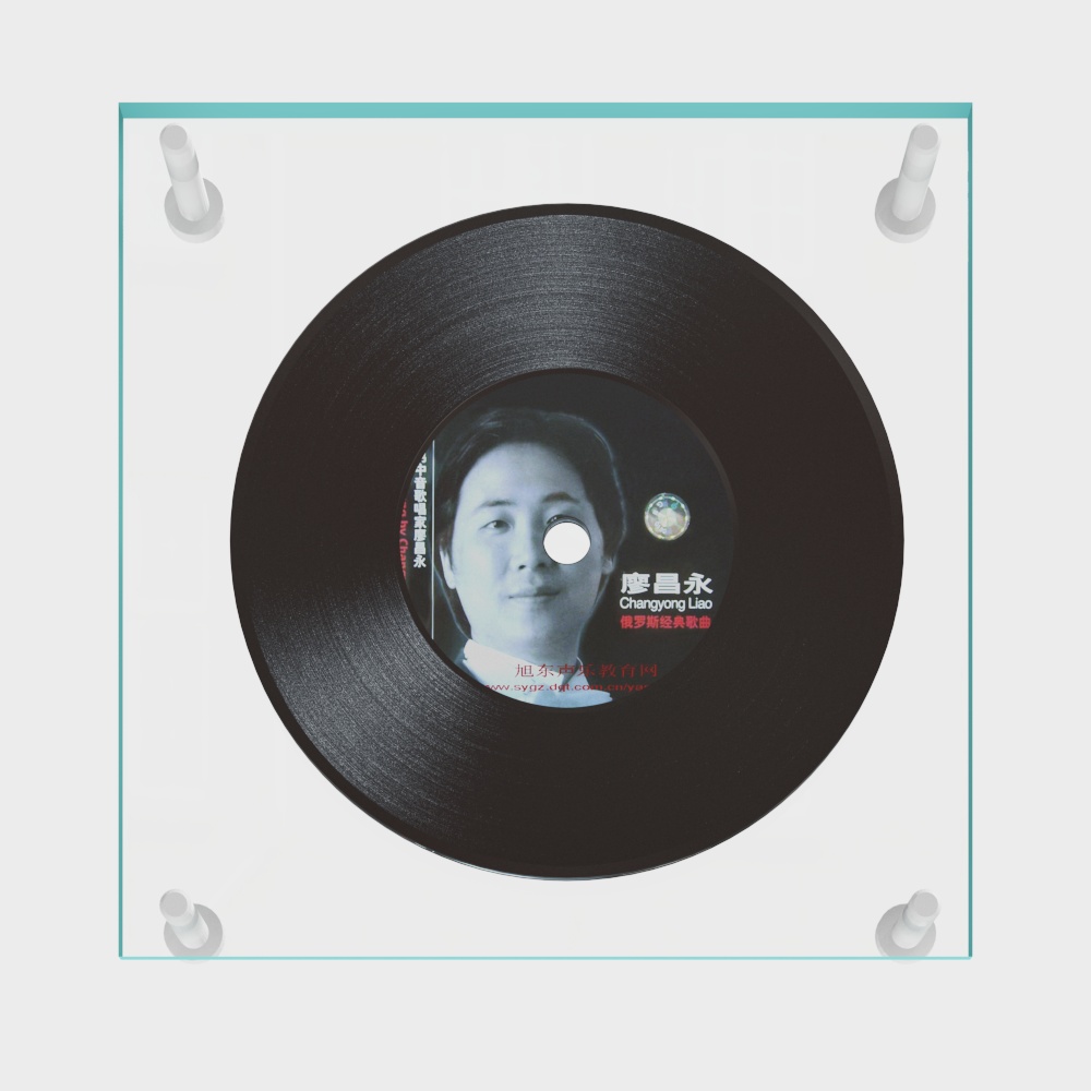 현대적인 레코드 벽 장식 헹거