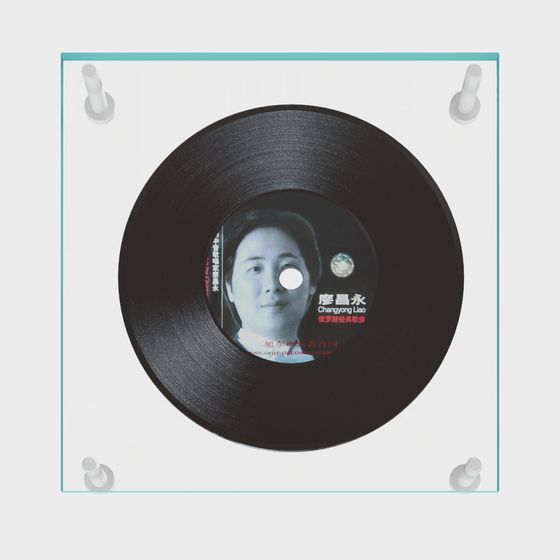 현대적인 레코드 벽 장식 헹거