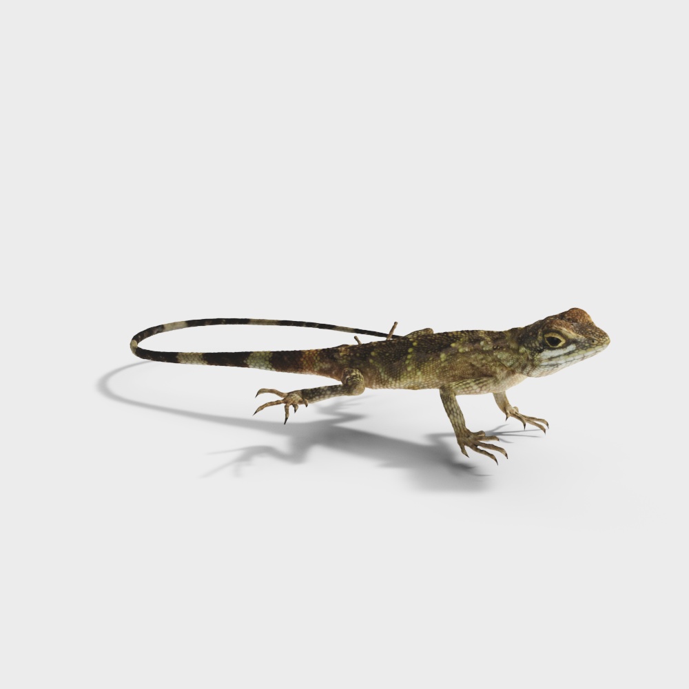 Low Poly Lizard 3D model for Creative Projects