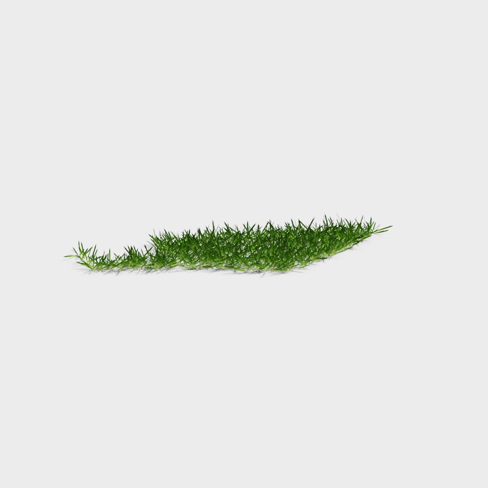 Grass