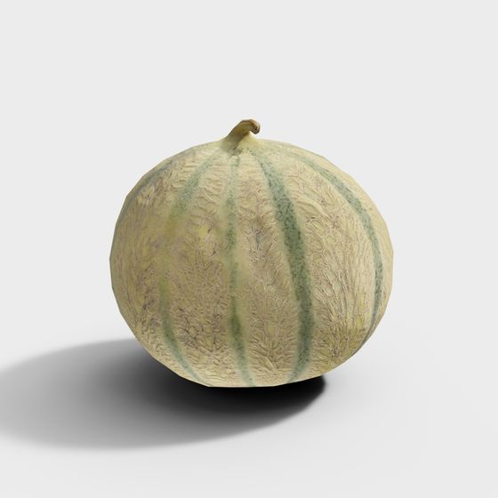 Realistic Melon 3D Model