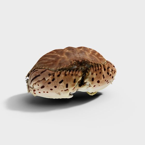 Stylish Low Poly Crab 3D model for Marine Themes