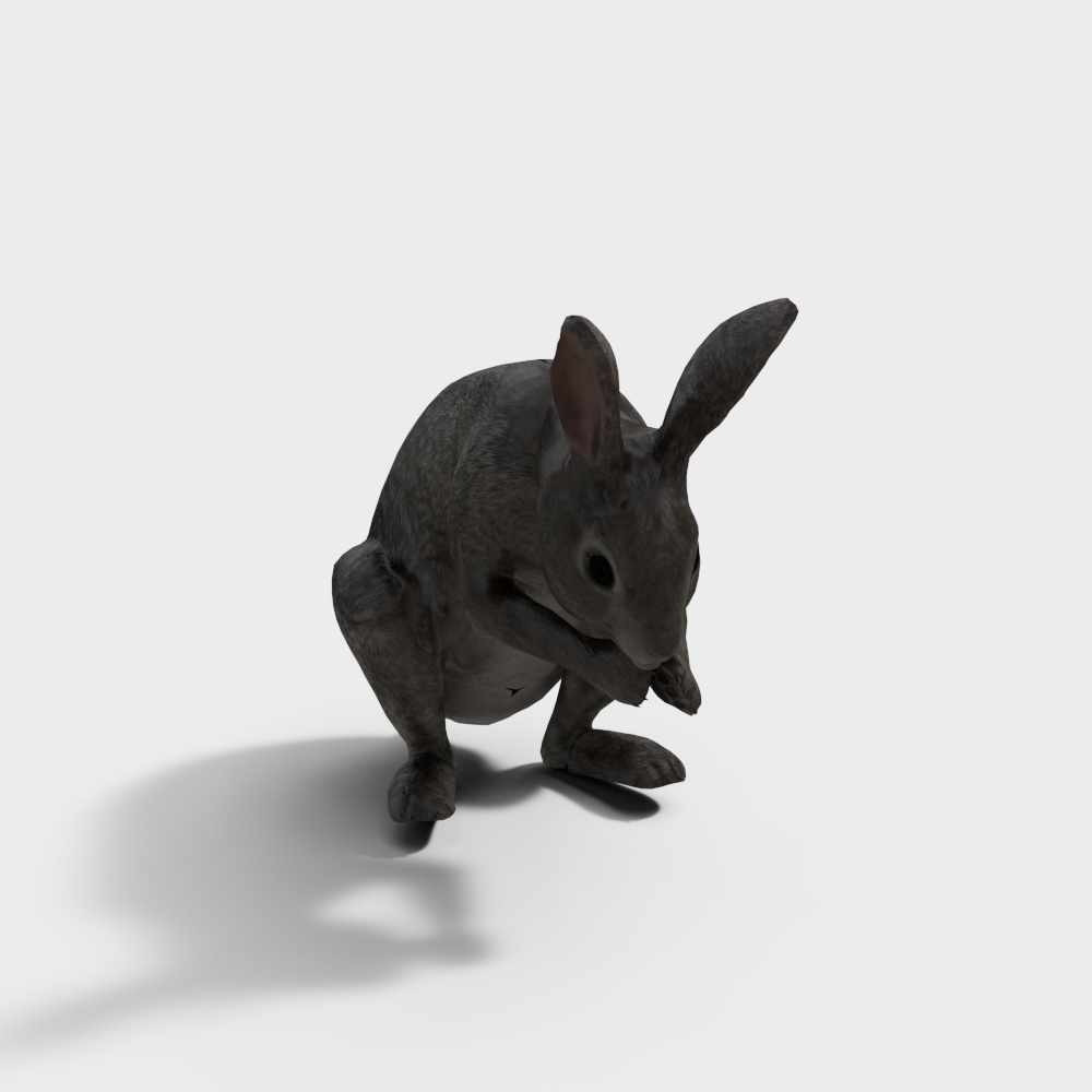 Forest Rabbit 3D model