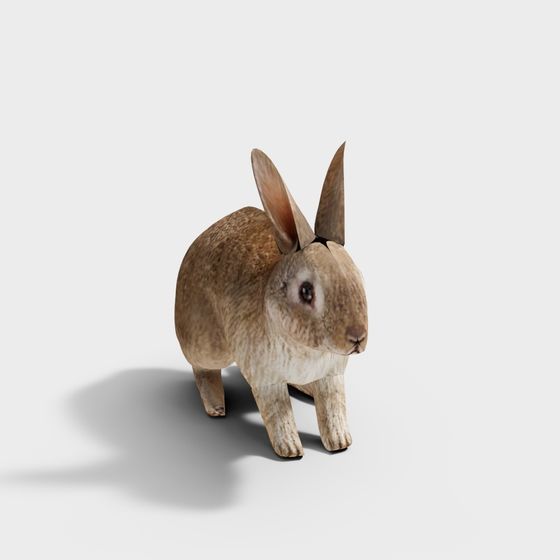 Forest Bunny 3D model