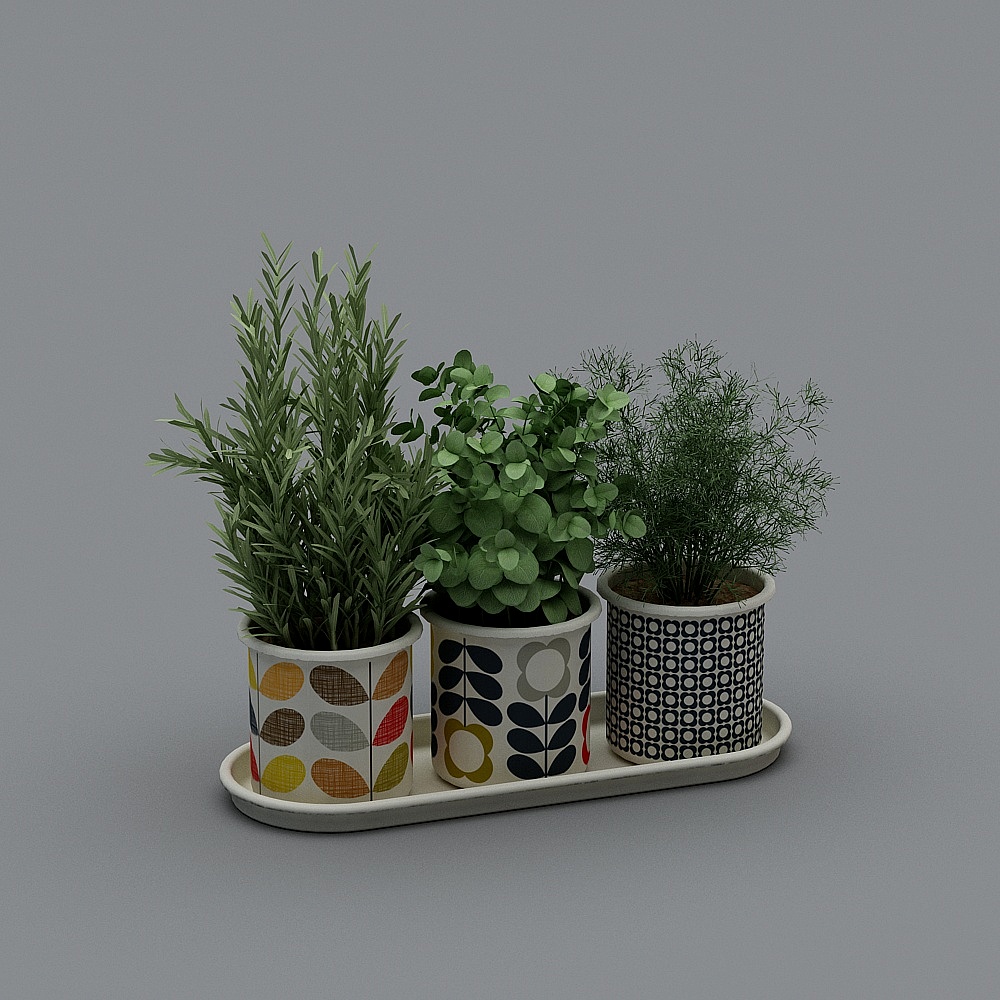 Plants