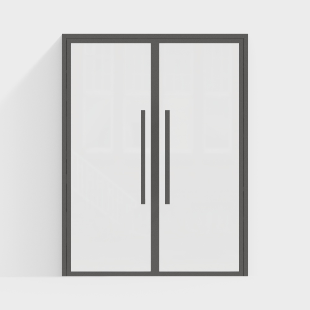 Modern Glass Double Door