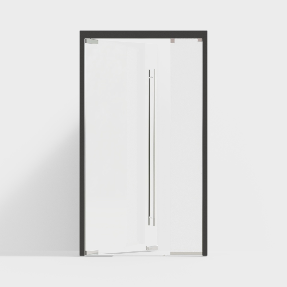 Modern Glass Door
